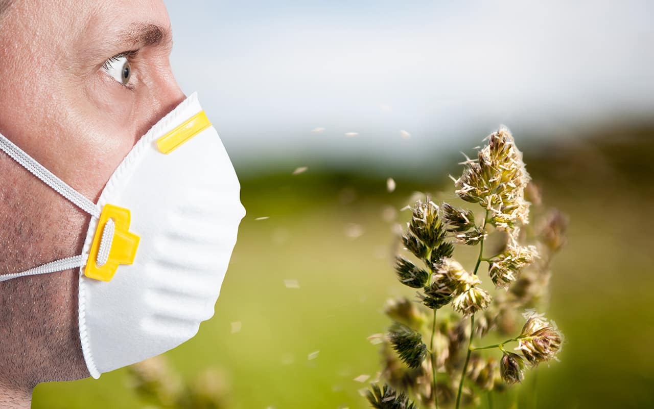 Featured image for “Allergien: Symptome, Ursachen und natürliche Hilfe”