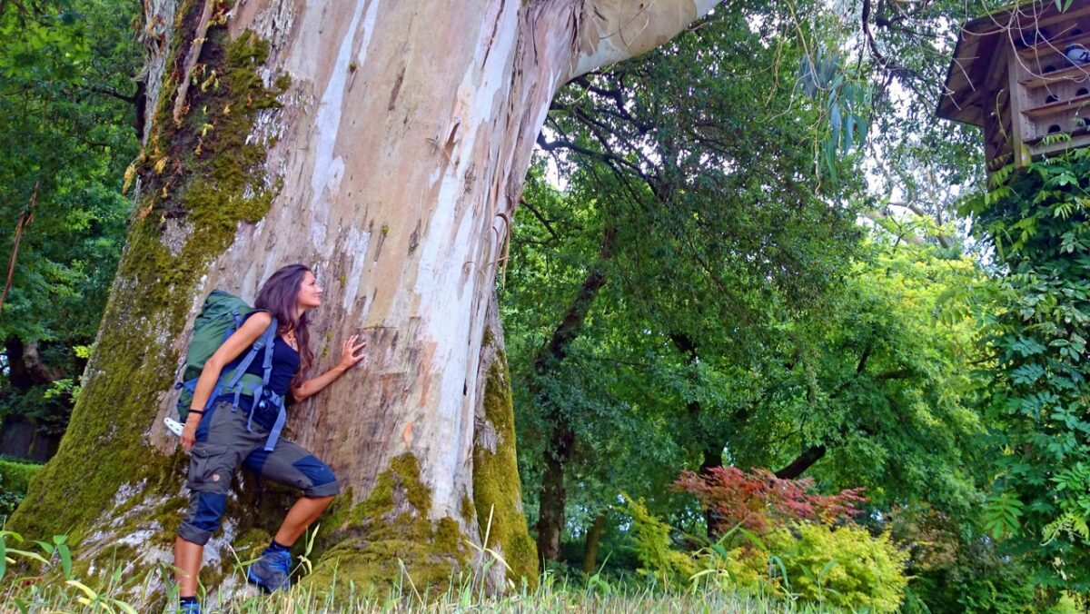 Sandra Exl bei einem großen Baum