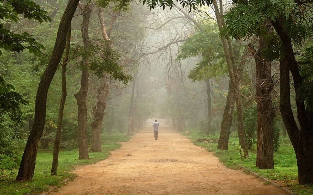 Ein Mensch geht einem geraden Weg entlang, links und rechts sind hohe Bäume