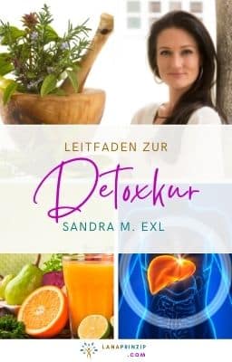 PDF Leitfaden zur Detoxkur