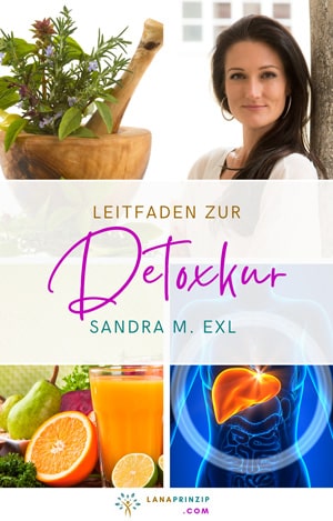 Cover vom PDF Leitfaden zur Detoxkur