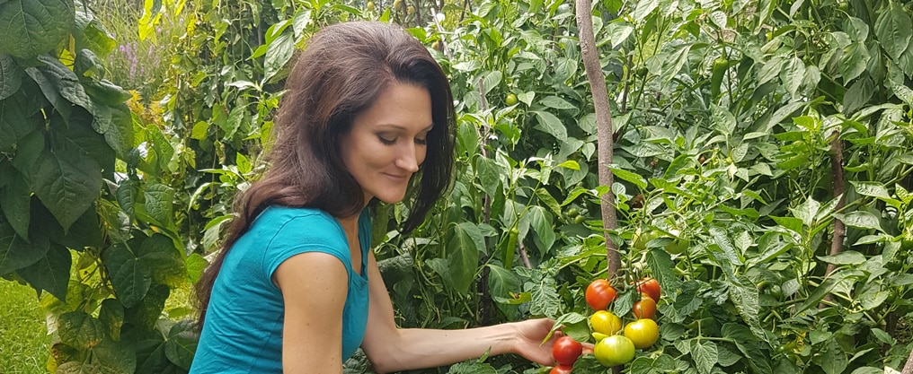 Sandra Exl im Garten beim Tomatenpflücken