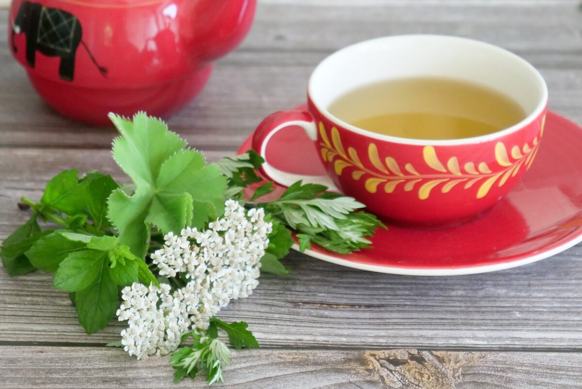Rote Tasse Frauentee mit Melisse, Schafgarbe und Beifuß auf Holztisch.
