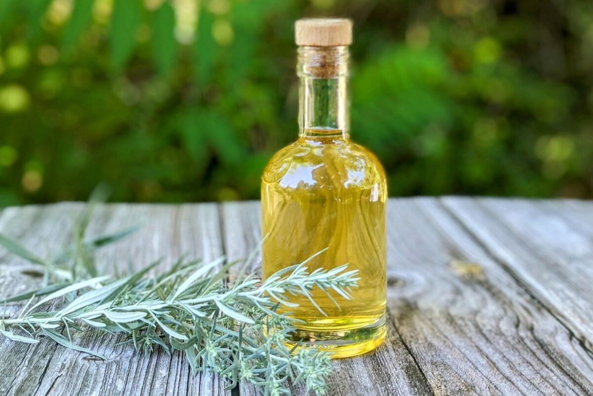 Wermutwein in Glasflasche auf Holztisch, daneben frisches Wermutkraut.