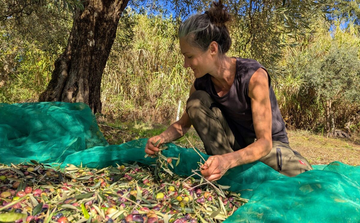 Sandra Exl in Portugal beim Oliven Ernten