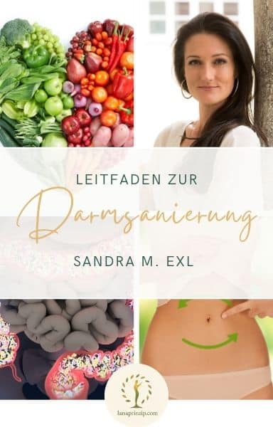 Leitfaden zur Darmsanierung