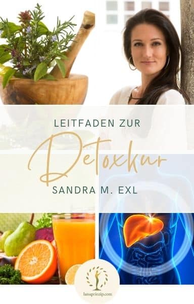 Leitfaden zur Detoxkur