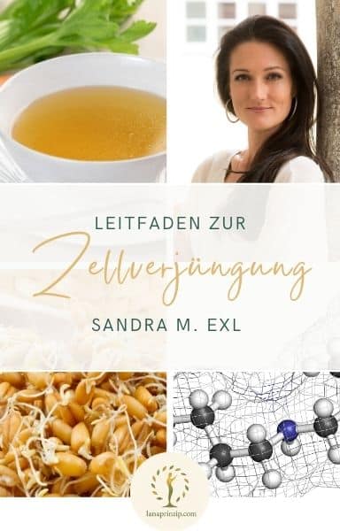 Leitfaden zur Zellverjüngung