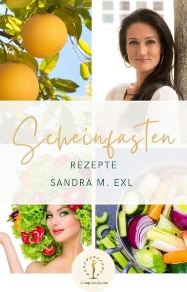 Scheinfasten Rezepte