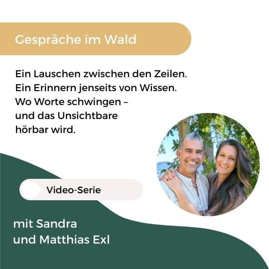 Gespräche im Wald - Inspirierende Videoserie