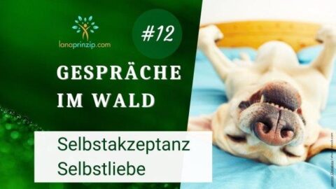 Titelbild der Video-Reihe „Gespräche im Wald“ mit einem auf dem Rücken liegenden, fröhlichen Hund – Symbol für Selbstannahme, Leichtigkeit und innere Freiheit.