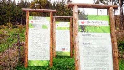 Zwei hölzerne Informationstafeln im Zauberwald, flankiert von jungen Bäumen und naturbelassenem Gelände – sie würdigen die Unterstützer und erzählen die Geschichte eines wiedererweckten Waldes.