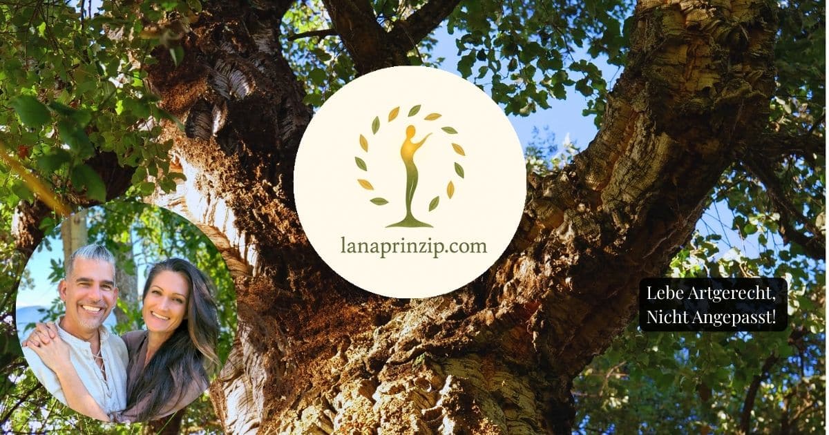 Preview image published by lanaprinzip.com