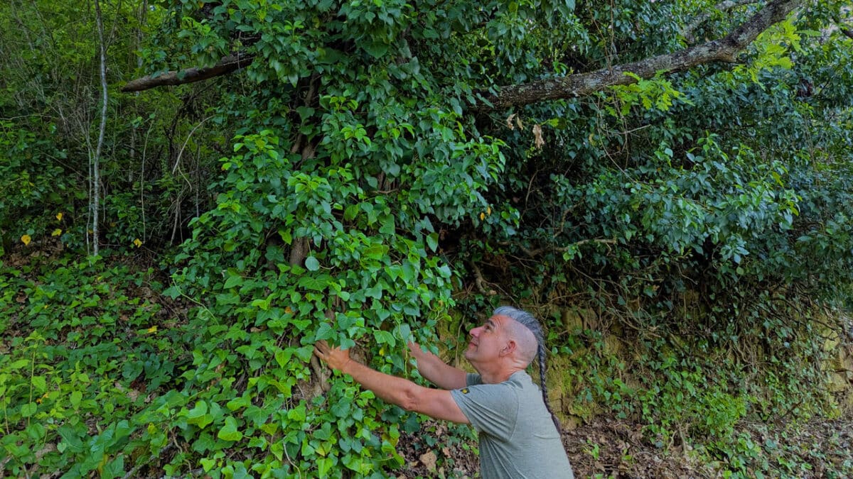 Matthias Exl im Wald, mit den Händen an einer begrünten Wand – Symbol für das Rufgespräch als Begegnung mit dem Wesentlichen.