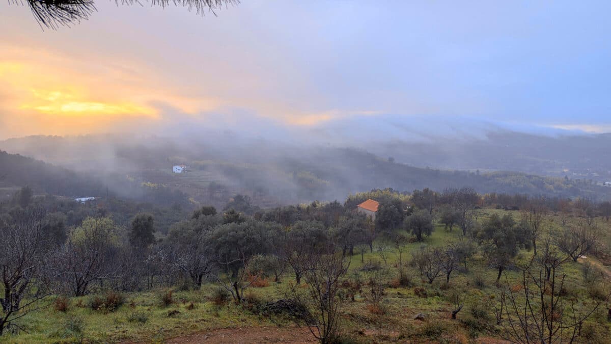 Morgendlicher Nebel zieht über die sanften Hügel Zentralportugals. Im Vordergrund Olivenbäume und blühende Natur, dahinter ein Haus mit rotem Dach – alles eingehüllt in golden-blaues Licht zwischen Sonnenaufgang und Dämmerung.
