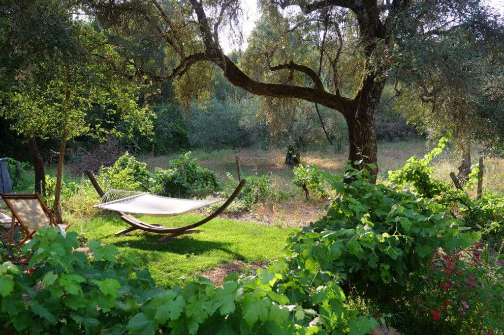 Hängematte unter alten Bäumen in einem grünen Garten mit Weinreben – ein stiller Naturraum voller Frieden und gelebter Einfachheit auf der Quinta Elysium in Portugal.