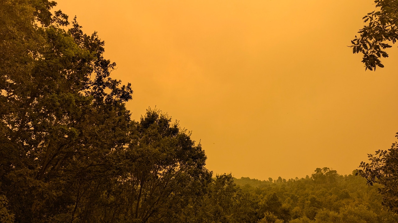 Featured image for “Was uns der Waldbrand in Portugal lehrte: Das Wunder am Hügel”
