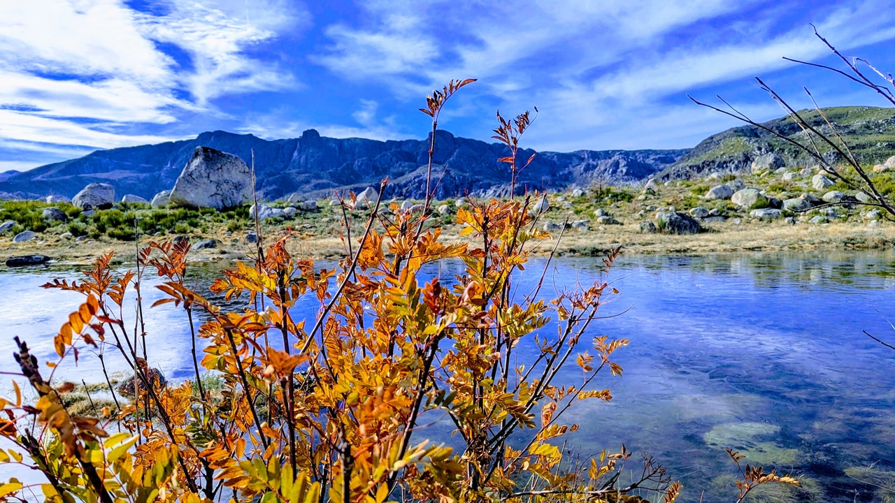 Featured image for “Wo Aufmerksamkeit heimkehrt. Eine Erinnerung an das Eigentliche.”